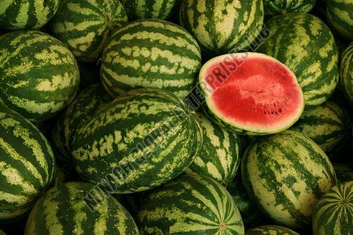 Fresh Watermelon