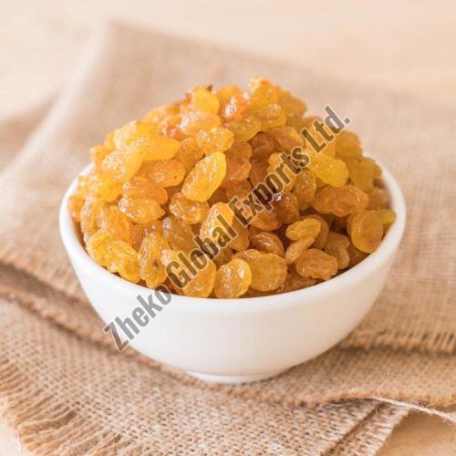 Dired Yellow Raisin