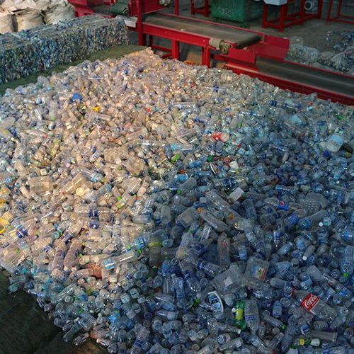 PET Bottle Scrap