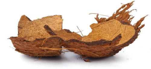 Coconut Shell