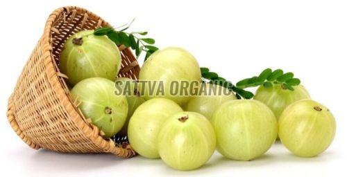 Fresh Indian Gooseberry