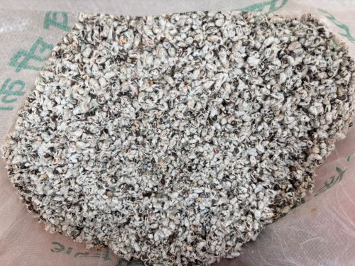 Black Cotton Seeds