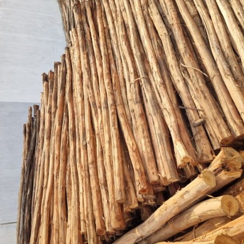 7 Feet Brown Eucalyptus Pole