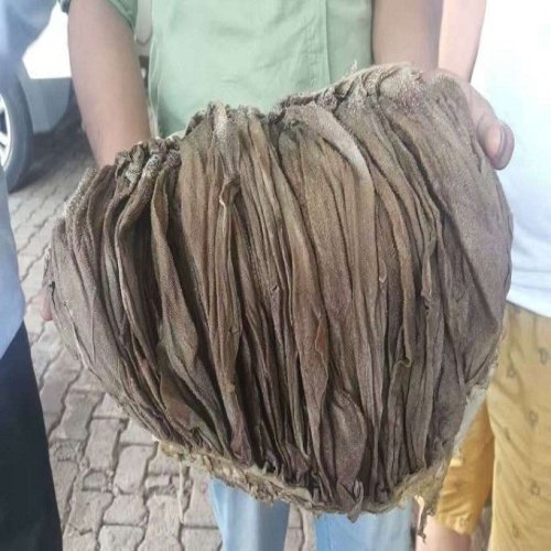 Buffalo Omasum Frozen Halal