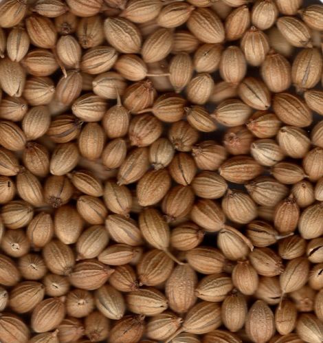 Coriander Seeds