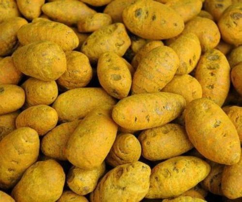 Turmeric Gatta