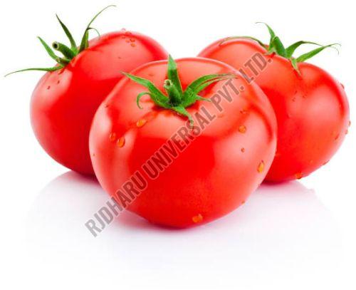 Fresh Red Tomato