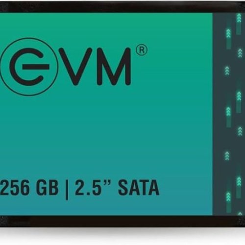 EVM 256 GB Internal Solid State Drive
