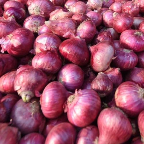 B Grade Nashik Red Onion