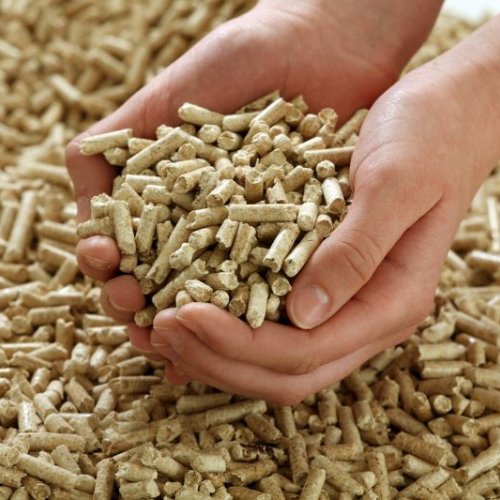 16mm Biomass Pellet