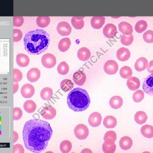 Biowizard Live Biological Microscope measurement Software