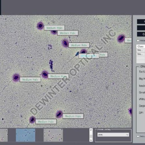 Sperm Pro Computer Aided Sperm Analysis Software
