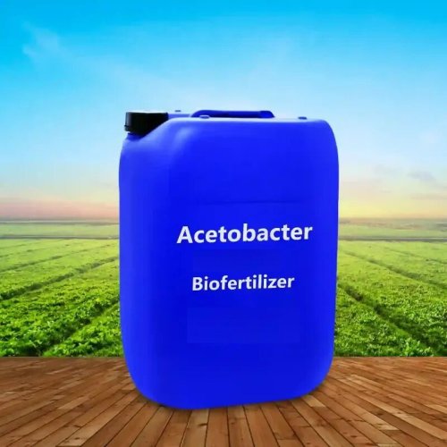 Acetobacter Bio Fertilizer
