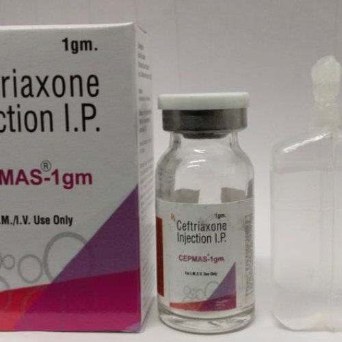 CEPMAS 1GM INJECTION