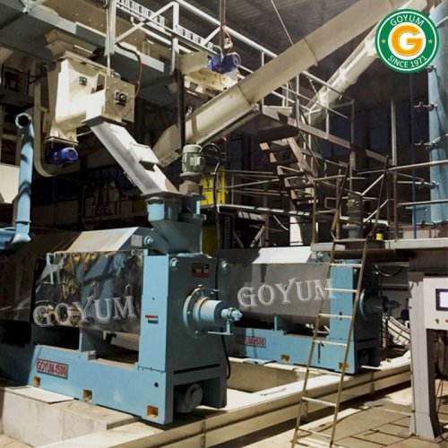 Shea Butter Oil Processing Plant