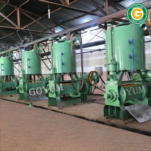 Sunflower Seed Oil Processing Plant