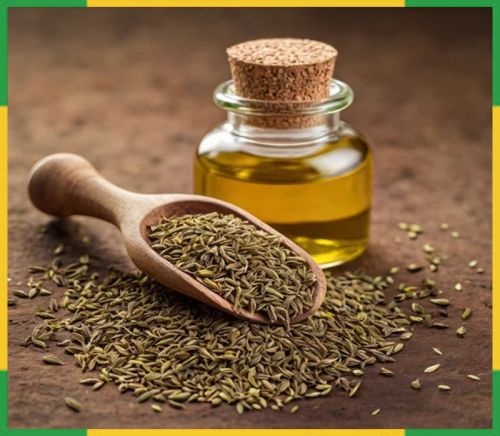 Ajwain Oil