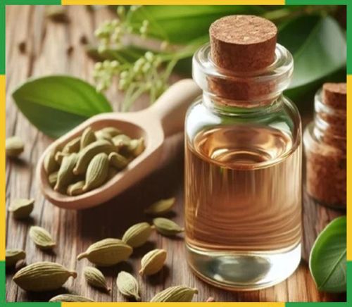 Cardamom Oil