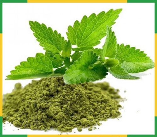 Tulsi Powder