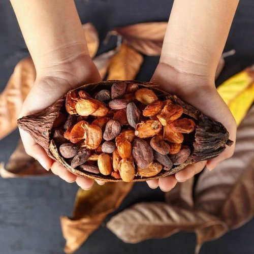 Sun Dried Cocoa Beans