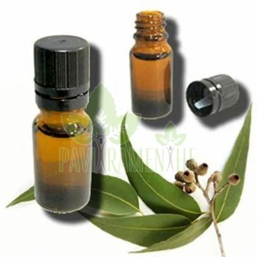 Eucalyptus Oil