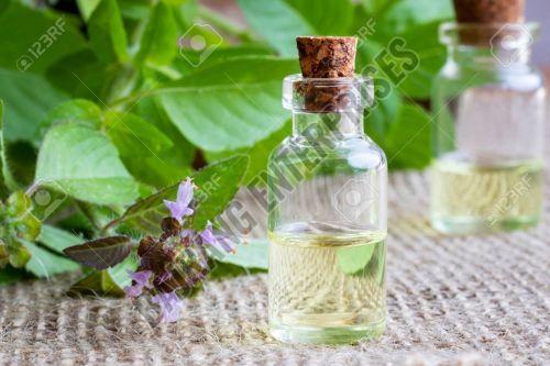 Tulsi Oil