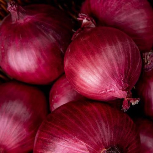 Fresh Red Onion