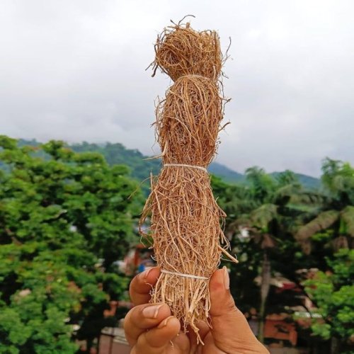 Vetiver Smudge Bundle