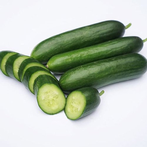 Fresh English Cucumber