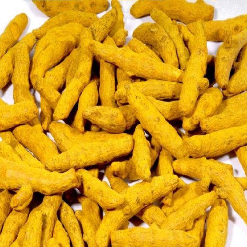 Dry Yellow Turmeric Finger