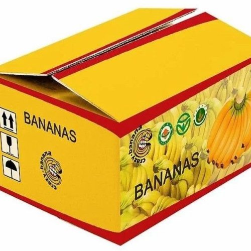 5 Ply Flexo Printed Corrugated Boxes