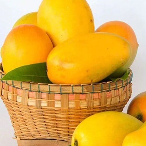 Natural Fresh Kesar Mango