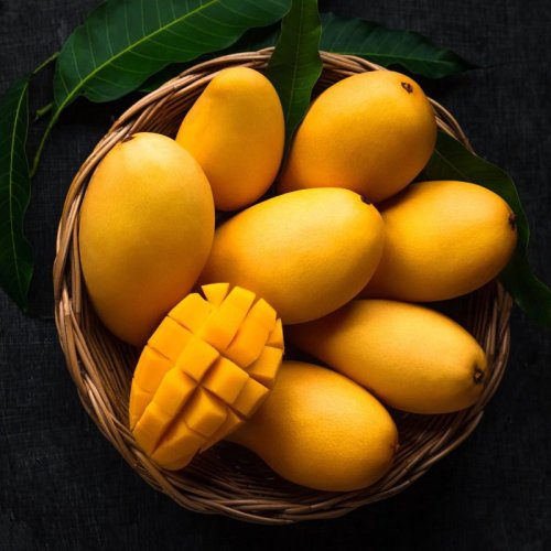 Organic Yellow Kesar Mango