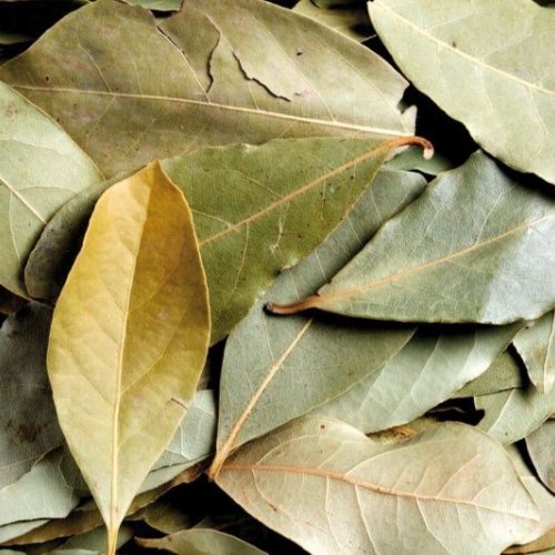 Dried Bay Leaves