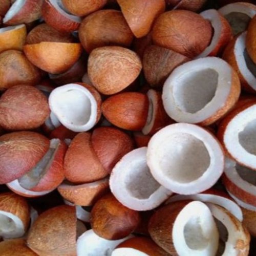 Dried Coconut Copra