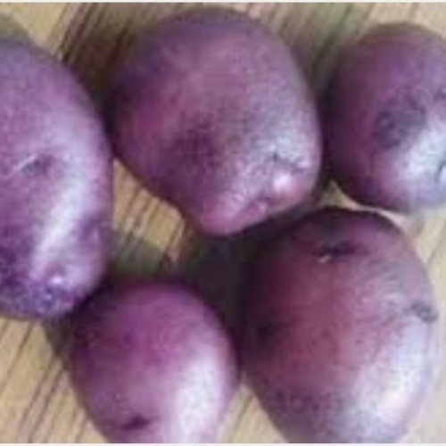 a Grade Brown Potato