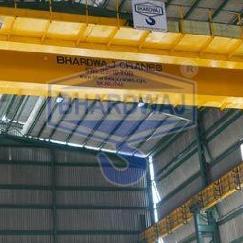 Heavy Duty EOT Crane
