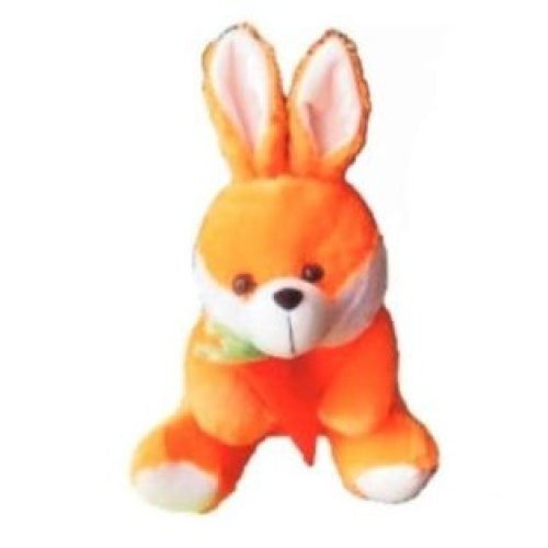Cute Rabbit with Carrot Soft Toy - 35 Cm