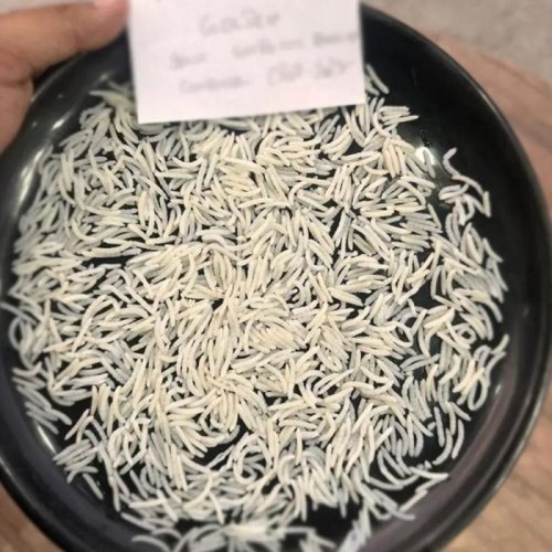 1509 White Sella Basmati Rice