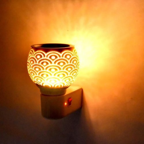 Electric Kapoor Dani