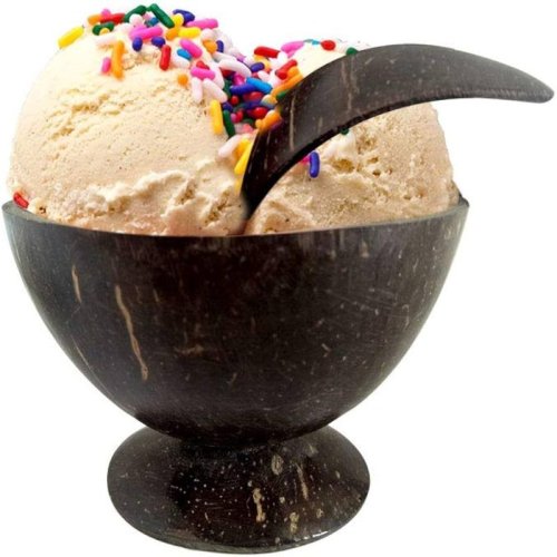 Coconut Shell Ice Cream Cups