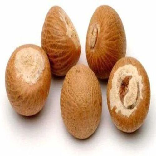 Raw Areca Nuts