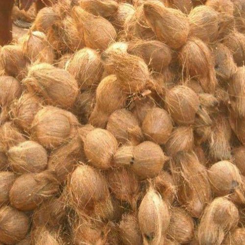 Semi Husked Coconut