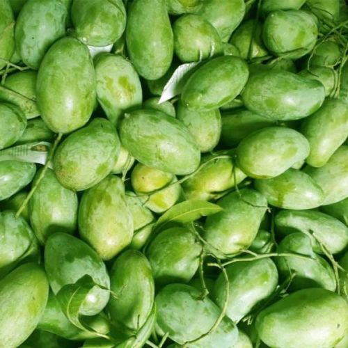 Fresh Amrapali Mango