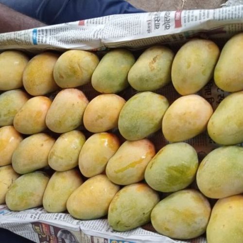 Desi Mango