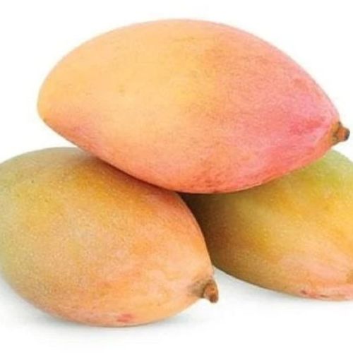 Fresh Totapuri Mango