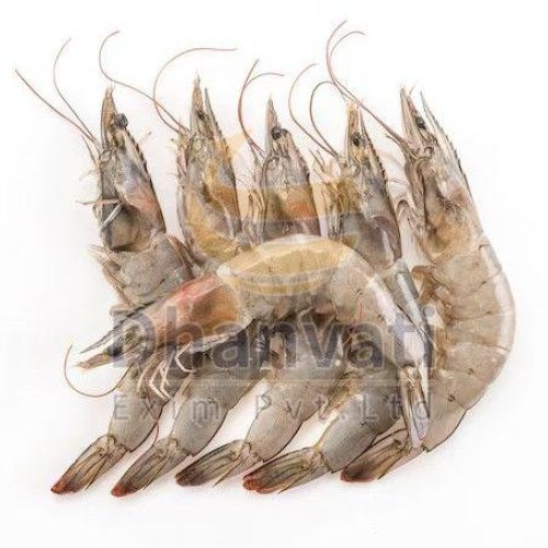 Fresh White King Prawn