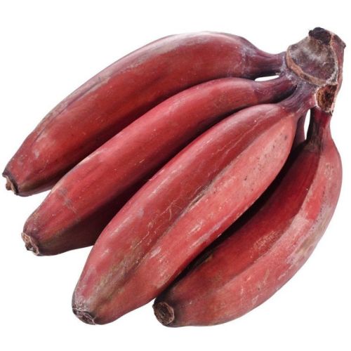 Fresh Red Banana