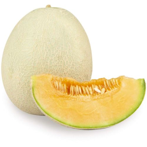 Fresh Round Muskmelon