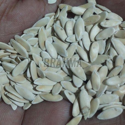 White Muskmelon Seeds